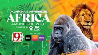 Africa: Among The Wild - News 9