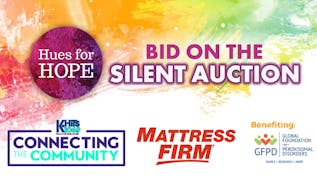 Connecting The Community - Hues for Hope - Silent Auction