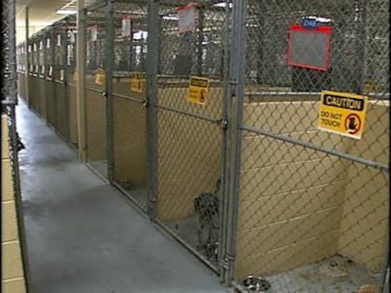 Animal Shelter Changes Euthanizing Policy