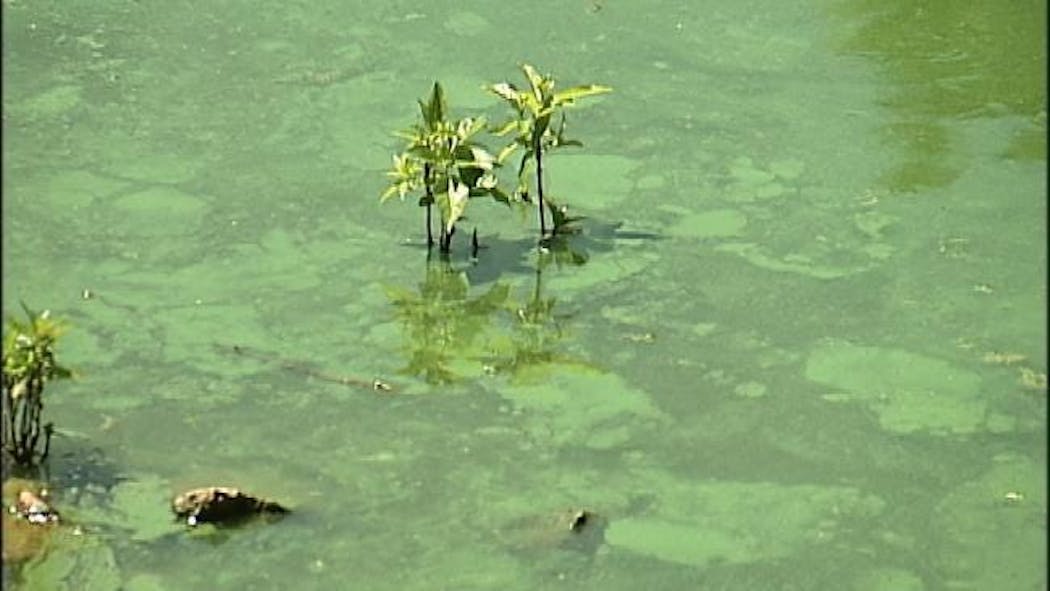 Tulsa Man Develops Rash After Swimming In Grand Lake