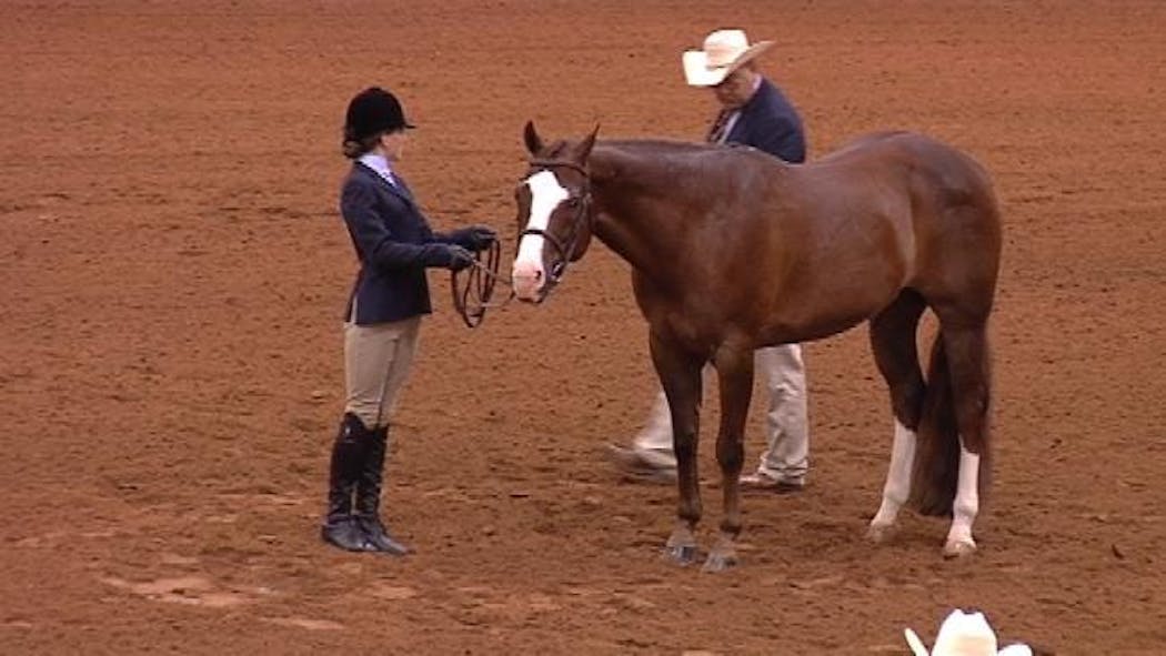 World Championship Horse Show Rides Into Tulsa