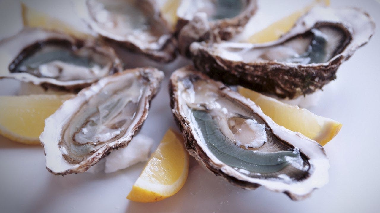 Dangerous Myths About Raw Oysters That Need to Be Shucked