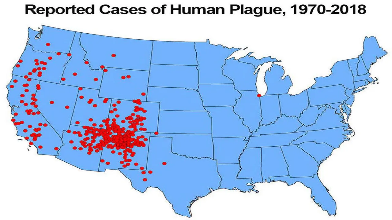 Map of the plague. 