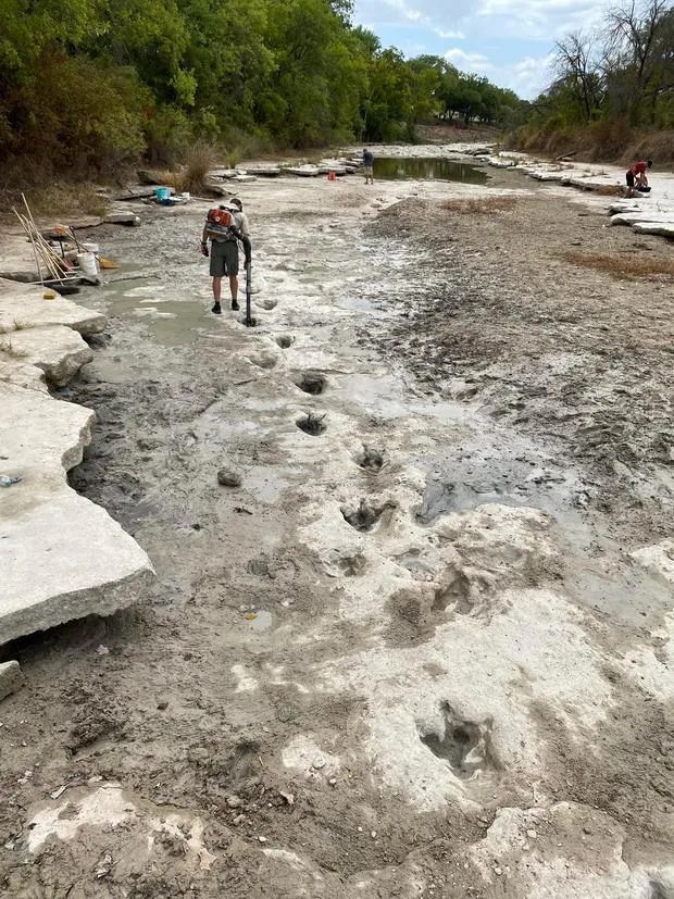 New dinosaur tracks have been uncovered in Texas due to a seve