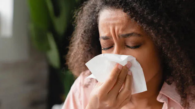 Allergy Season