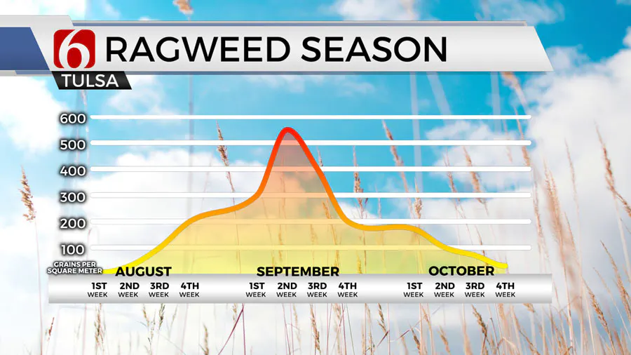 Ragweed season