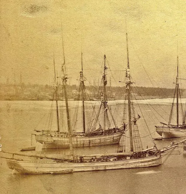 'A Remarkable Discovery': 1881 Lake Michigan Shipwreck Found Intact ...