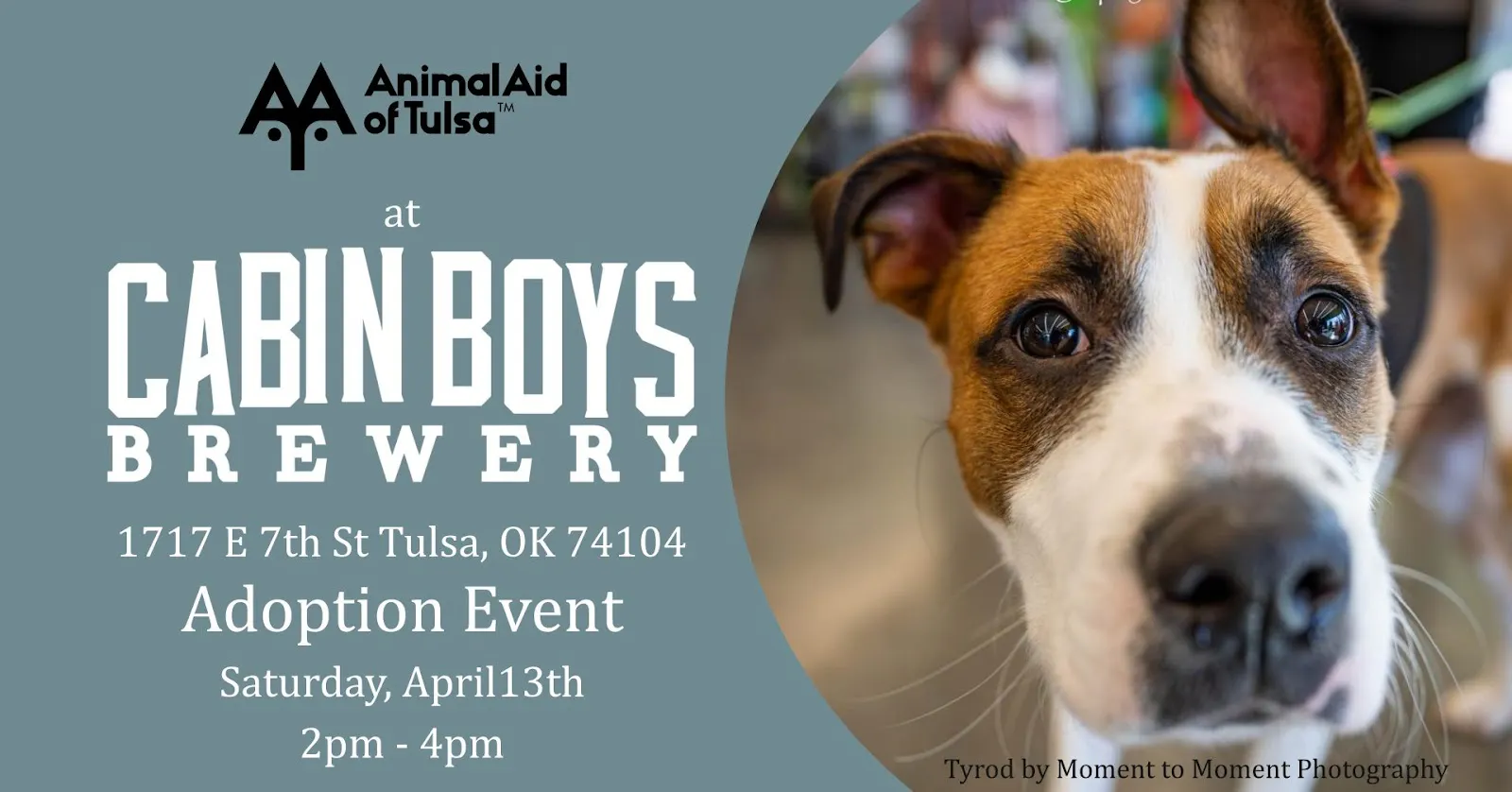 Animal Aid of Tulsa Adoption Event
