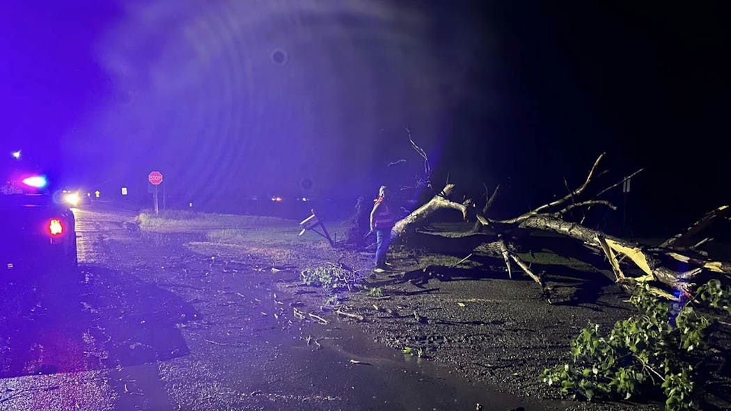 Giant tree knocked down in Morris
