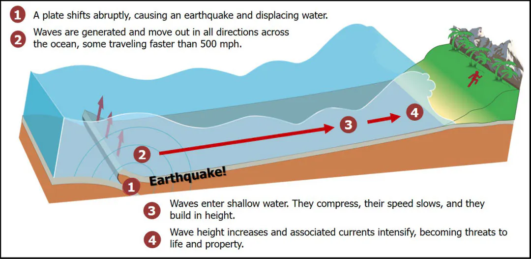 Tsunami Infographic