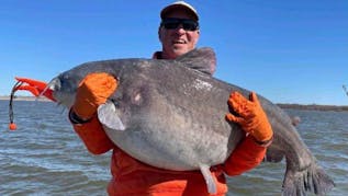 Oklahoma Man Hauls In 80 lbs. Blue Catfish On Oologah Lake