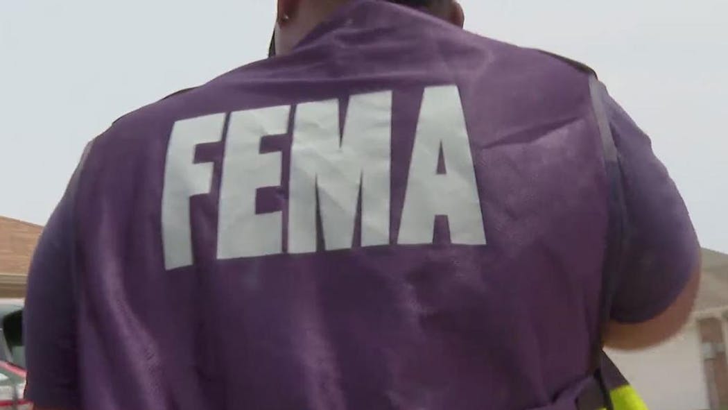 FEMA generic