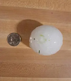 Hail in Kenwood, Oklahoma - March 14, 2024