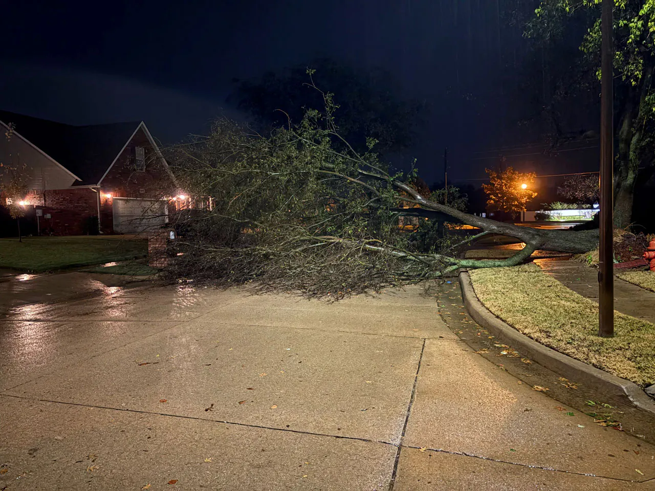 Storm Damage 11/3/24