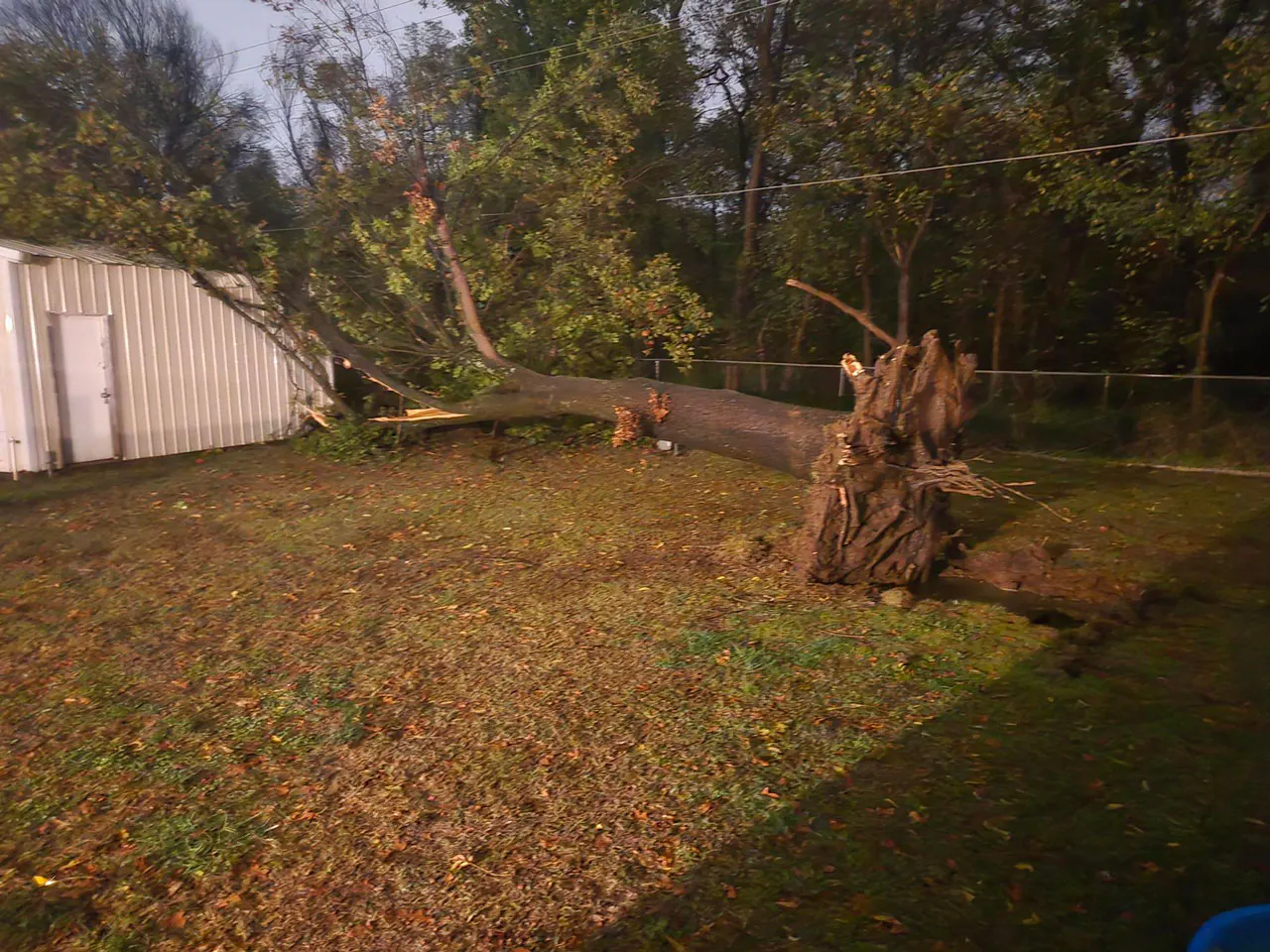 Storm Damage 11/3/24