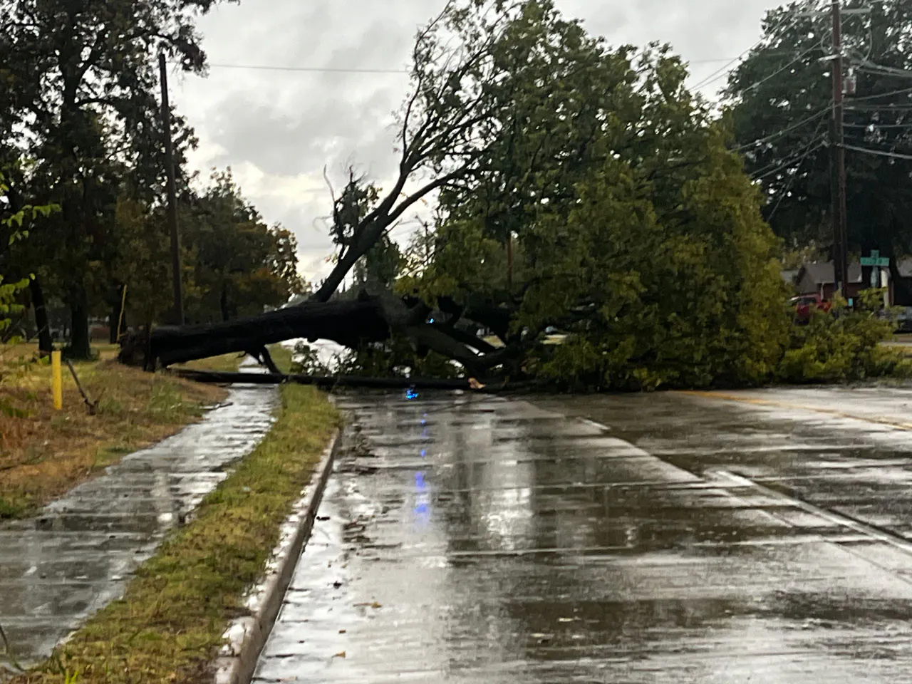 Storm Damage 11/3/24