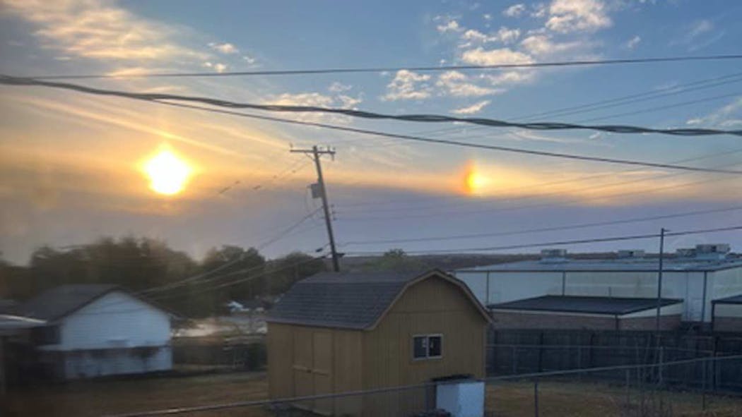 Sun Dog Kelsey Birr