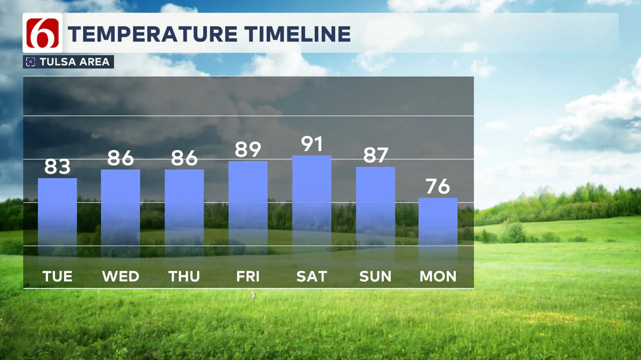 Week Temp Timeline 10/8/24