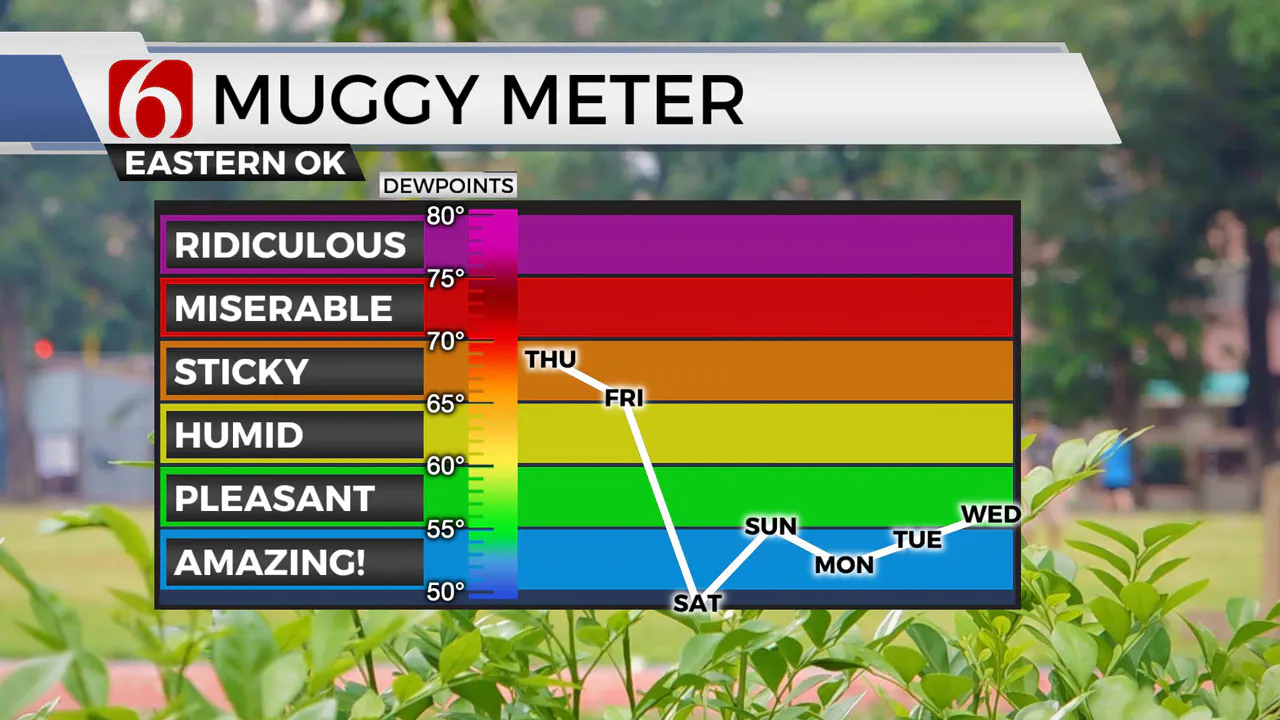 muggy meter 9-5-24