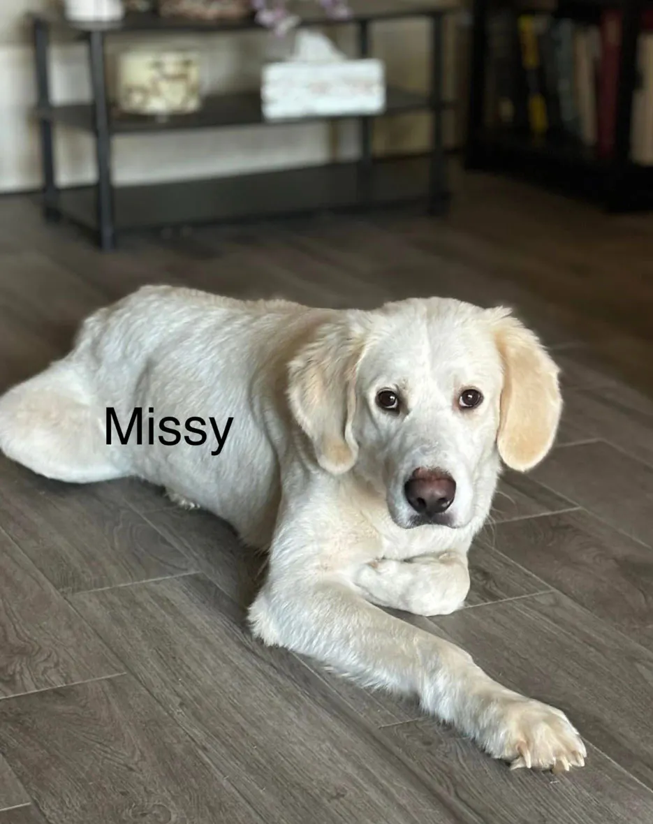 Missy BARC 