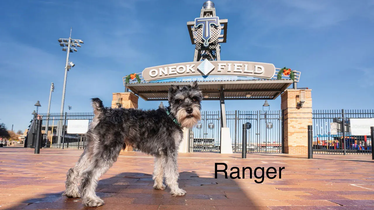 Ranger BARC