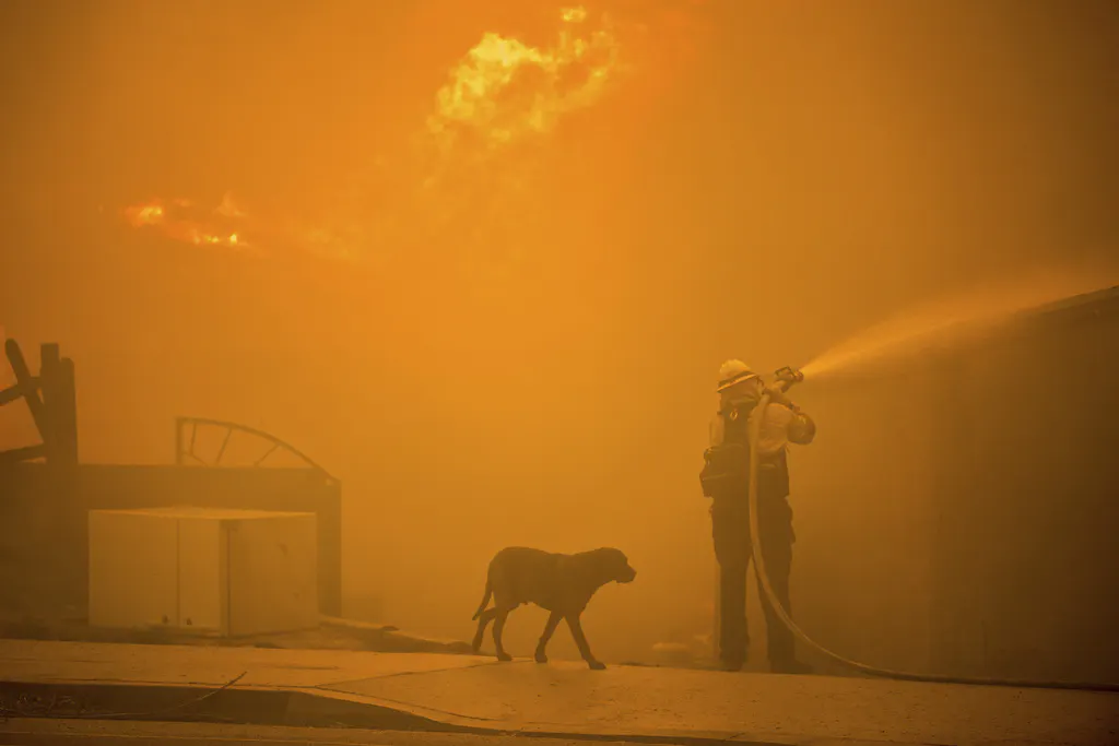 California Fires Jan 2025