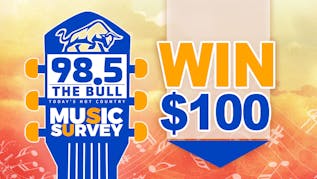 The Bull Music Survey