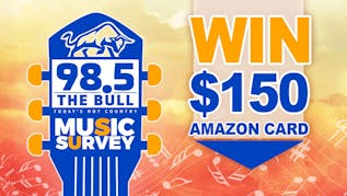 The Bull Music Survey