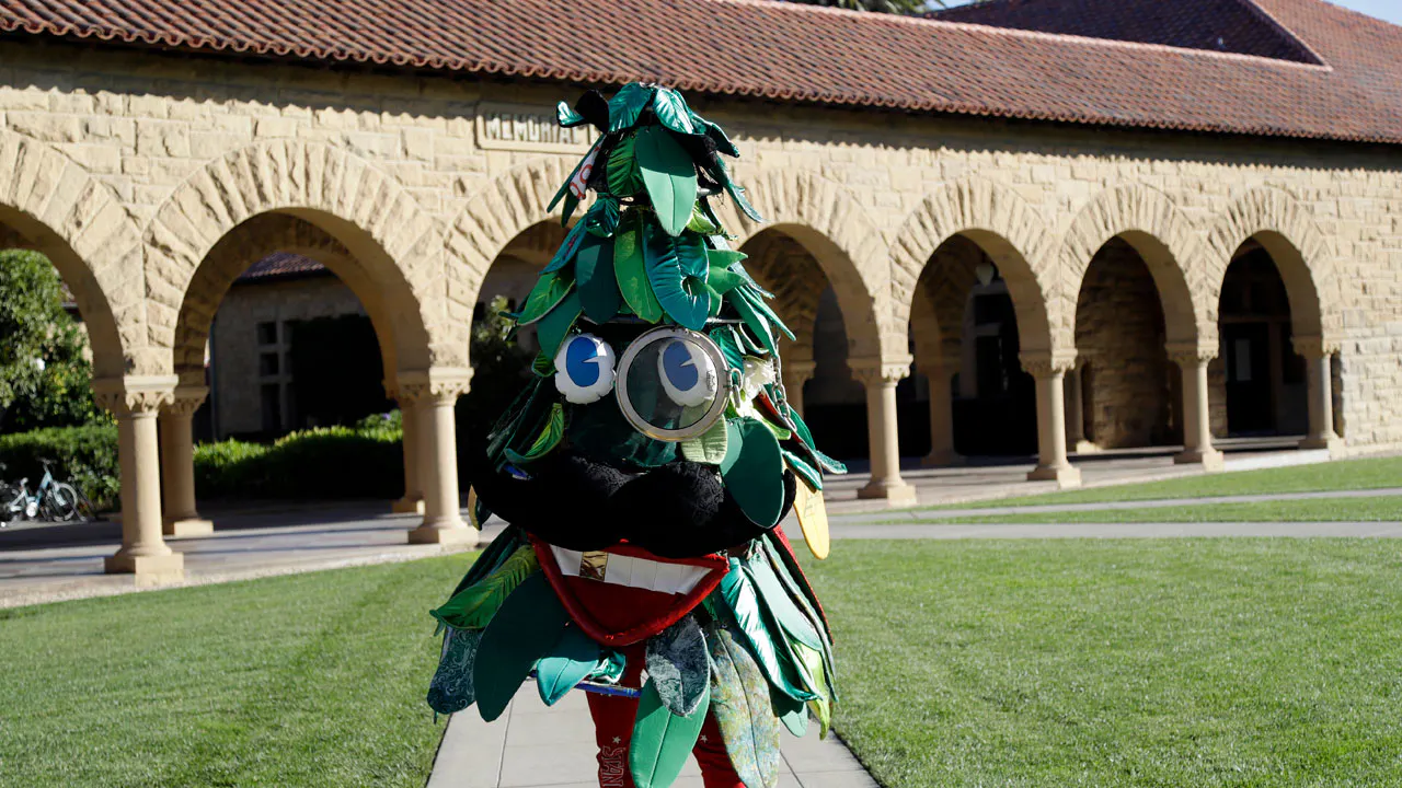Stanford Tree