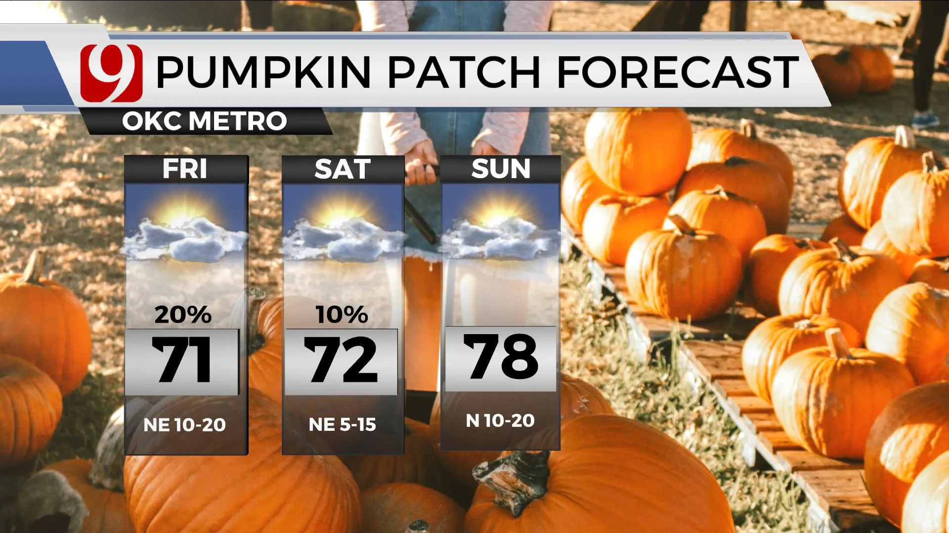 Pumpkin Patch Forecast for this weekend.
