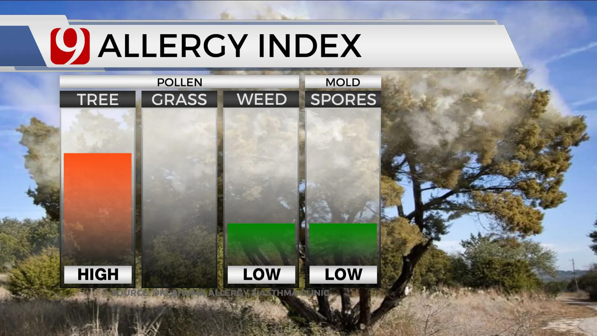 Allergy index for today.