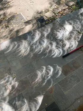 Crescent shadows from eclipse - Oct. 14, 2023