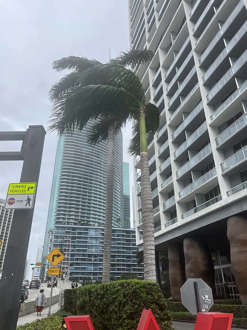 Windy day in Miami