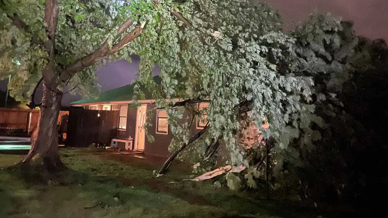 Tree limbs fallen on home in Edmond.