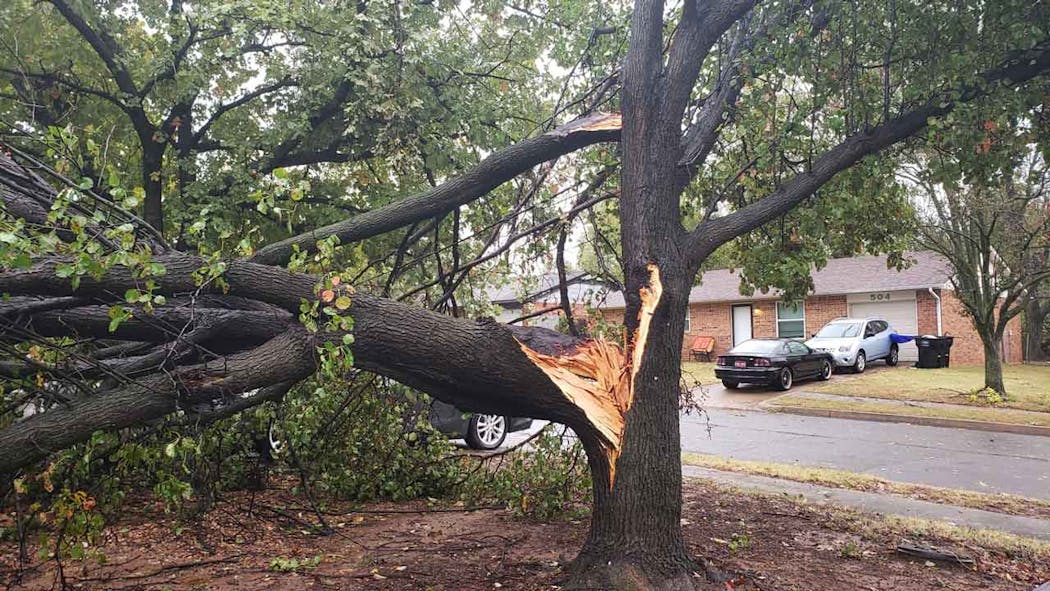 Misty Dawn  Damage from Noble  Oklahoma