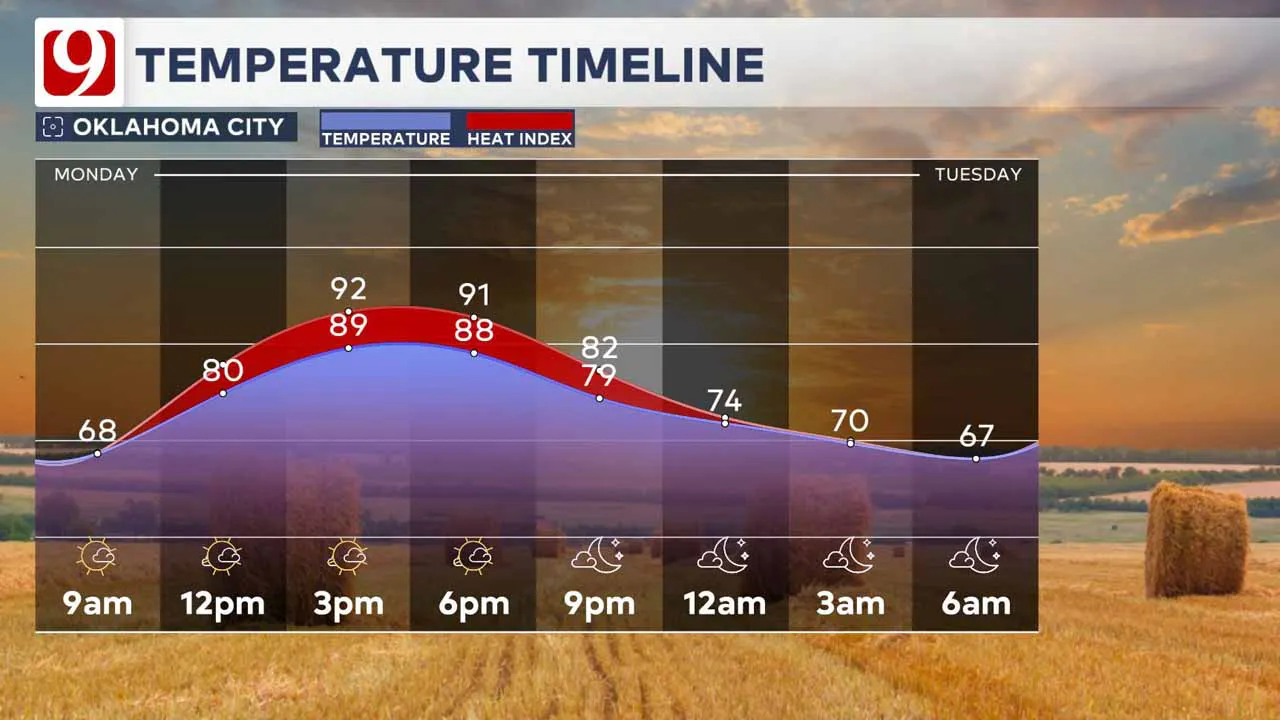 Temperature timeline.